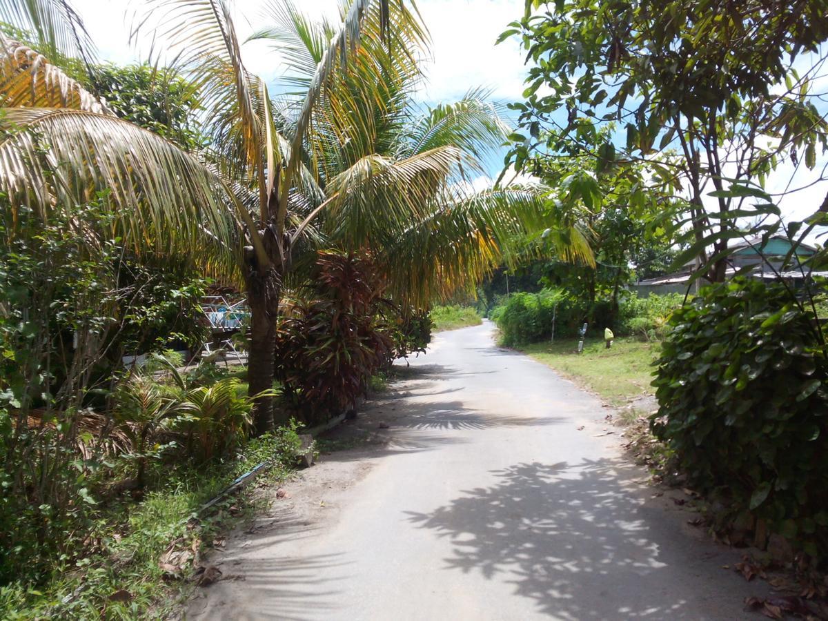 Pandan Beach Homestay Kampong Pandan Buitenkant foto
