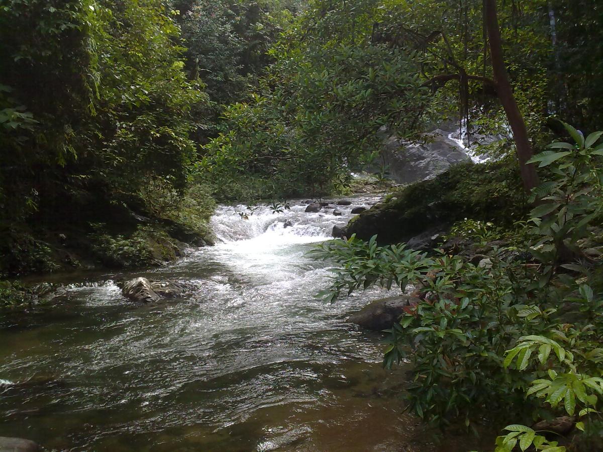 Pandan Beach Homestay Kampong Pandan Buitenkant foto